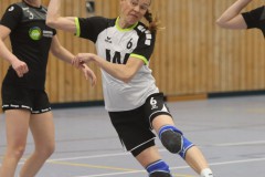 Kopie-von-IMG_0993-Kopie