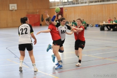 20250405-IMG_2382