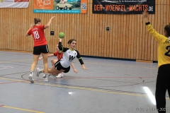 20250405-IMG_2433