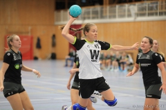 20231104-IMG_9242