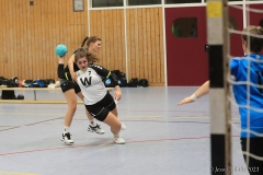 20231104-IMG_9259
