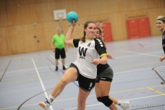 20231104-IMG_9307
