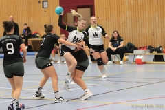 20231104-IMG_9344