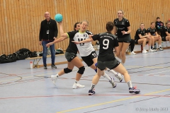 20231104-IMG_9482