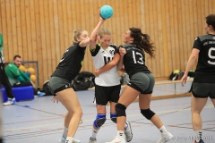 20231104-IMG_9503