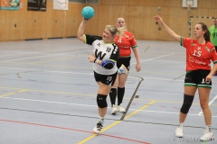 20231028-IMG_8937
