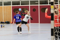 20231125-IMG_1493