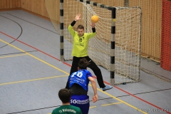 20250215-IMG_0904