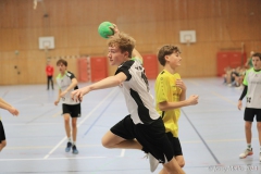 20231126-IMG_2239