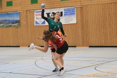 20231112-IMG_0141