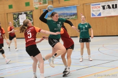 20231112-IMG_0289