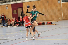 20250215-IMG_0588