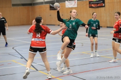 20250215-IMG_0615