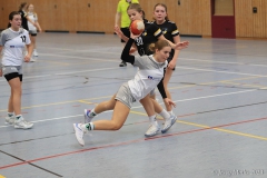 20231126-IMG_2003