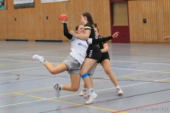 20231126-IMG_2011